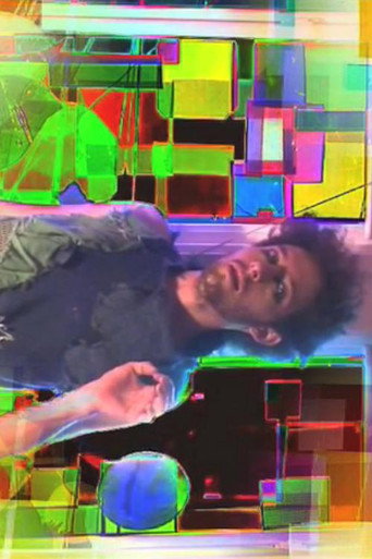 Movie poster for Ephemeral Seizure (2009)