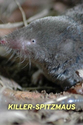 Movie poster for Killer Shrew (2014)