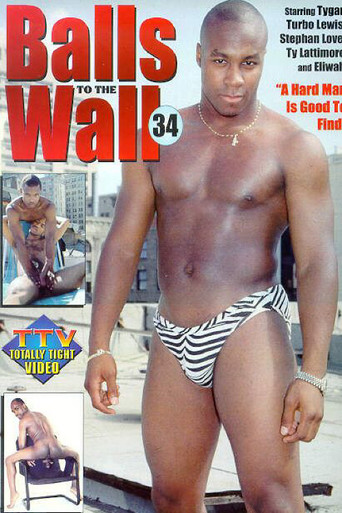 Movie poster for Balls To The Wall 34: A Hard Man is Good To Find (1998)