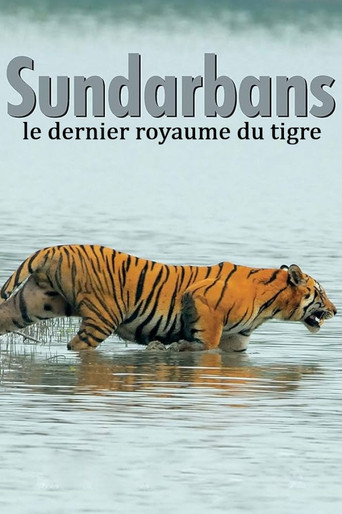 Movie poster for Sundarbans, le dernier royaume du tigre