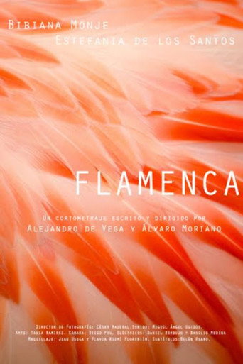 Movie poster for Flamenca (2018)