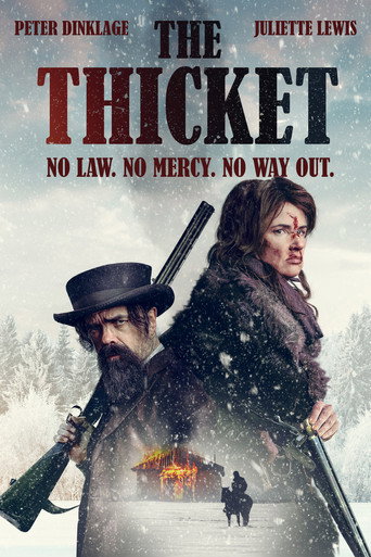 Movie poster for The Thicket (2024)