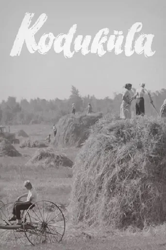 Movie poster for Koduküla (1969)