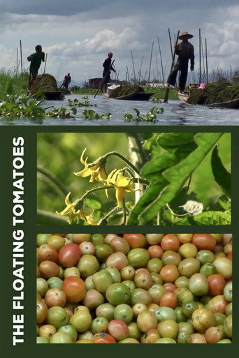 Movie poster for The Floating Tomatoes (2010)