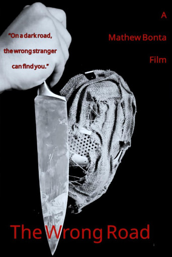 Movie poster for The Wrong Road