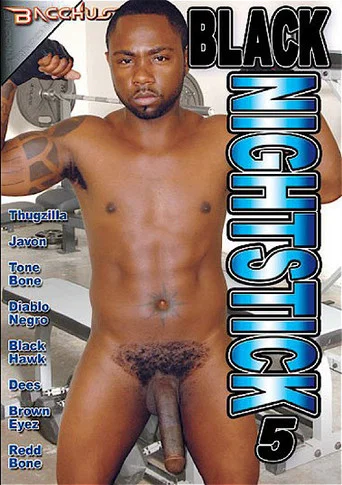 Movie poster for Black Nightstick 5 (2011)