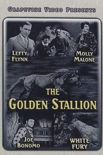 Movie poster for The Golden Stallion (1927)