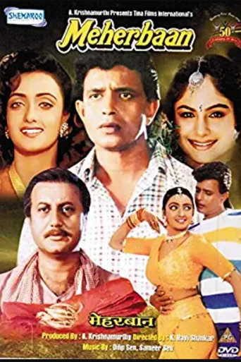 Movie poster for Meherbaan (1993)