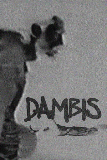 Movie poster for Dambis (2008)