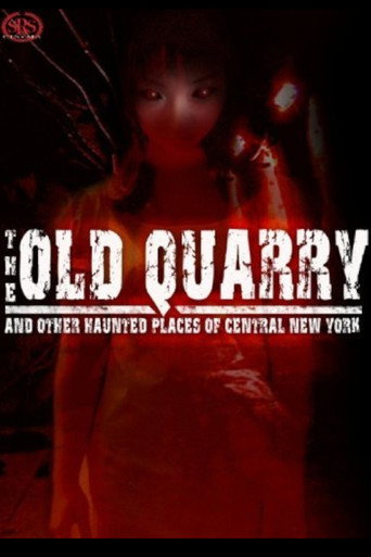Movie poster for The Old Quarry and Other Haunted Places of Central New York (2006)