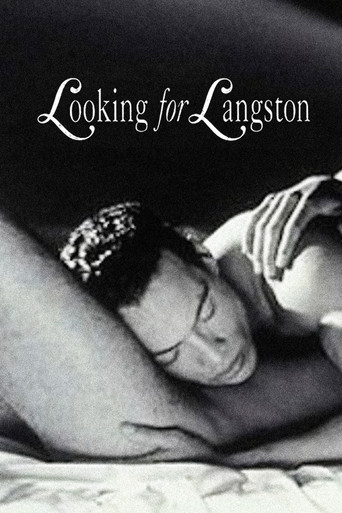 Looking for Langston poster