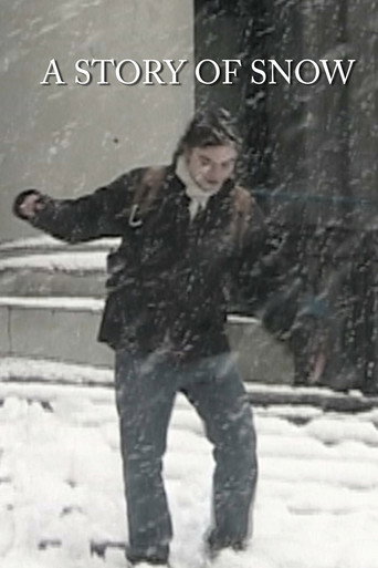 Movie poster for A Story of Snow (2024)