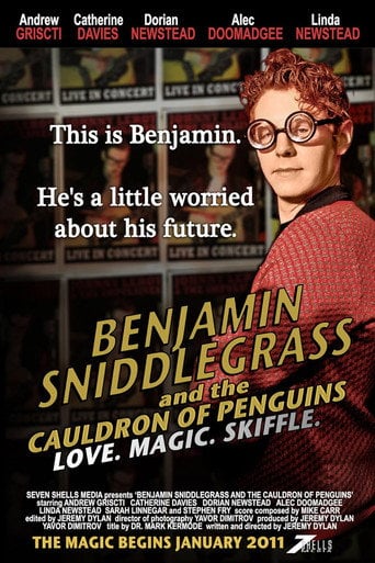 Movie poster for Benjamin Sniddlegrass and The Cauldron of Penguins (2011)