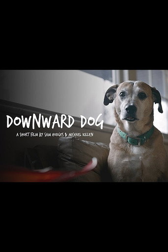 Movie poster for Downward Dog (2016)