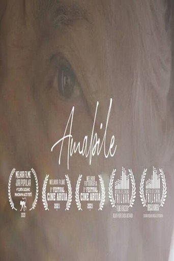 Movie poster for Amabile (2020)