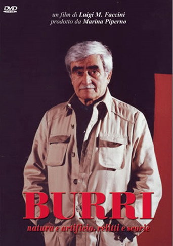 Movie poster for Burri (2009)