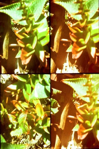 Movie poster for Gardens (2012)