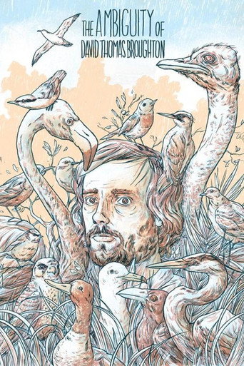 Movie poster for The Ambiguity of David Thomas Broughton (2015)
