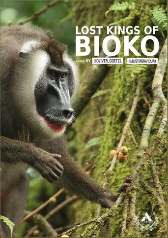Movie poster for Lost Kings of Bioko (2019)