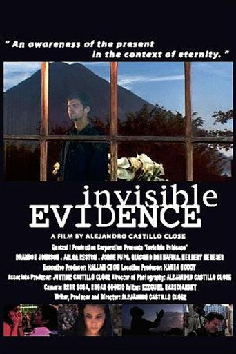 Movie poster for Invisible Evidence (2003)