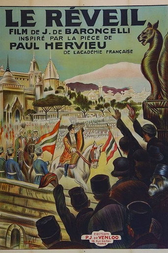 Movie poster for The Awakening (1925)