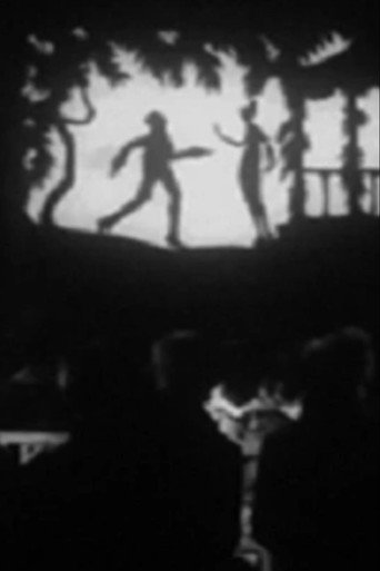 Movie poster for The Lost Shadow (1921)