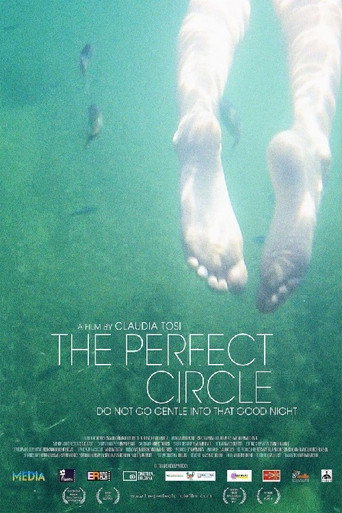 Movie poster for The Perfect Circle (2013)