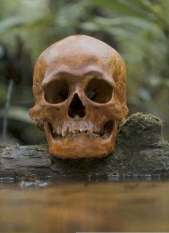 Movie poster for A Skull (2021)