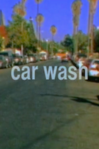 Movie poster for Car Wash (2008)