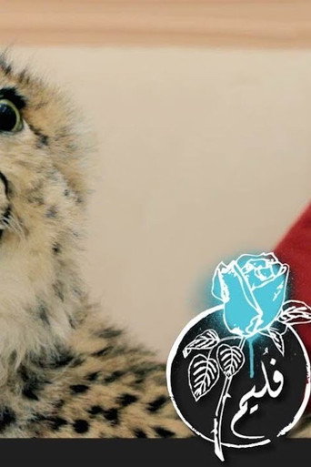 Movie poster for Folaim - Cheetah Wound (2013)