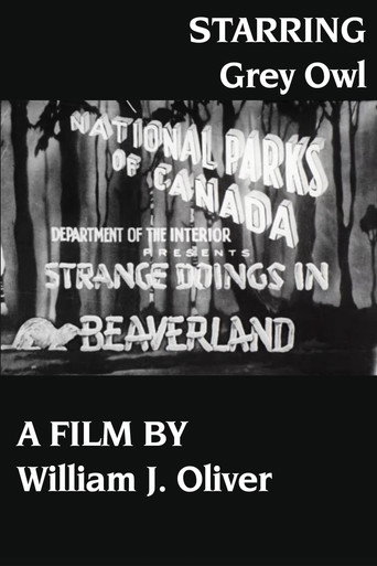 Movie poster for Strange Doings in Beaverland