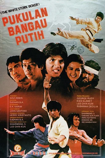 Movie poster for The Fierce Boxer (1977)