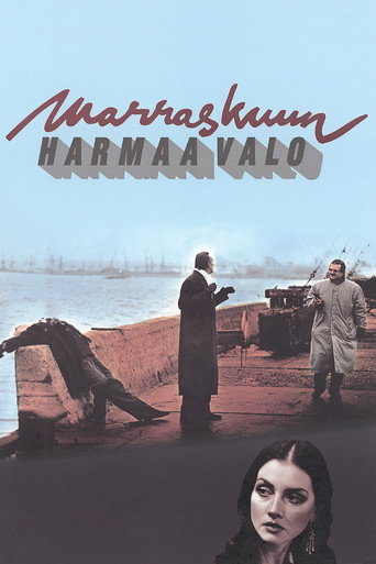 Movie poster for Marraskuun harmaa valo (1993)