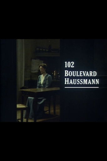 102 Boulevard Haussmann poster