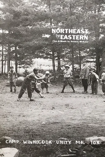 Movie poster for The Northeast by Eastern (2016)