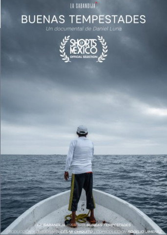 Movie poster for Good Storms (2022)