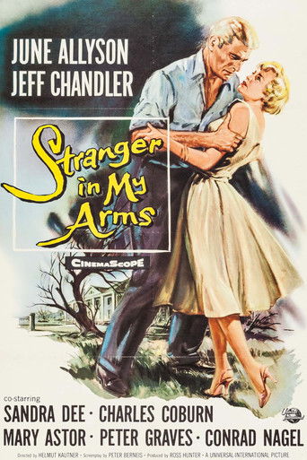 A Stranger in My Arms poster