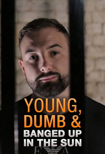 Series poster for Young Dumb and Banged Up in the Sun (2018)