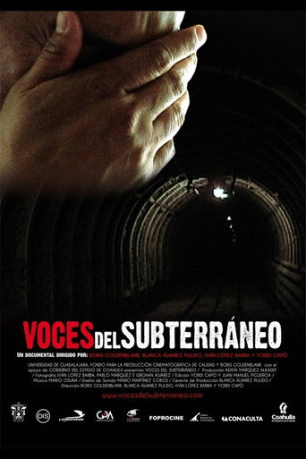 Movie poster for Underground Voices (2010)