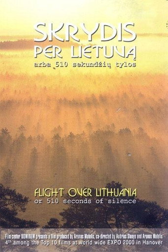 Movie poster for Flight Over Lithuania or 510 Seconds of Silence (2000)