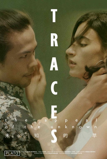 Movie poster for Traces