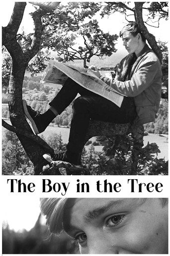 The Boy in the Tree poster
