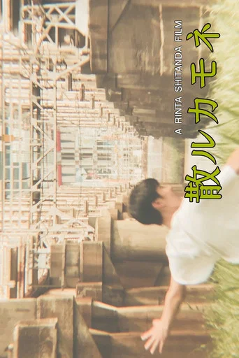 Movie poster for 散ルカモネ (2019)