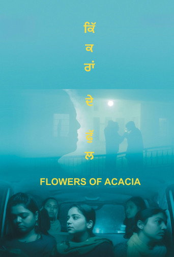 Movie poster for Flowers of Acacia (2026)