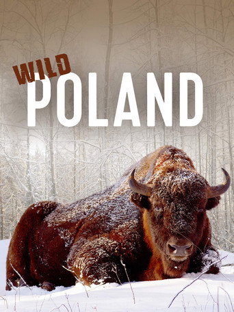 Movie poster for Wild Poland (2012)