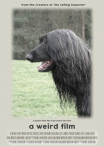 Movie poster for A Weird Film (2019)
