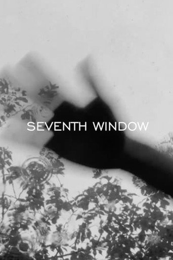 Movie poster for SEVENTH WINDOW (2015)