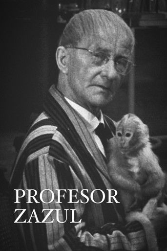 Profesor Zazul poster