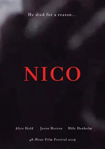 Movie poster for NICO (2019)