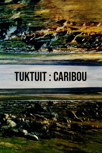 Movie poster for Tuktuit: Caribou (2025)